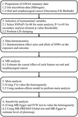 Mendelian randomization analysis to investigate the gut microbiome in oral and oropharyngeal cancer